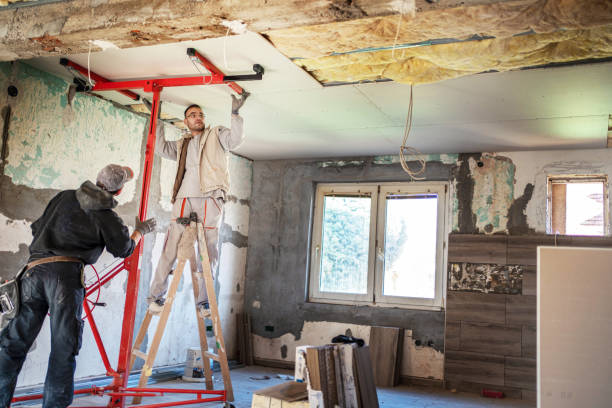 Best Insulation Maintenance and Repair in Han, GA
